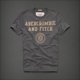 Camiseta Masculina Abercrombie Cinza Tam. GGG